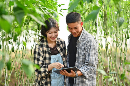 Two young farmers reviewing harvest and crop performance on digital tablet. Smart farming concept.の写真素材