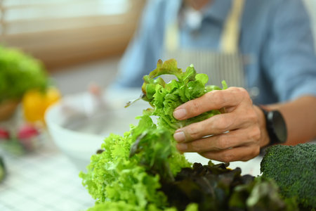 Closeup senior man holding fresh green leaves of lettuce, preparing healthy vegetarian meal in kitchenの写真素材