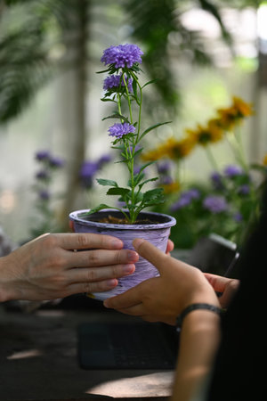 Cropped shot of florist giving a potted plant to customer at floral storeの写真素材