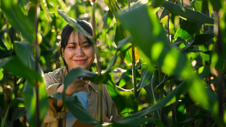 Smiling young female farmer touching the leaves of green corn on a sunny day.の写真素材