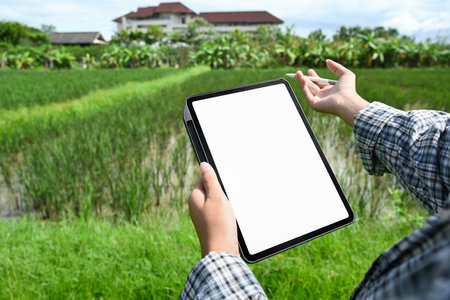 Agronomist or farmer checking progress or managing crops at the green field. Modern agricultural...