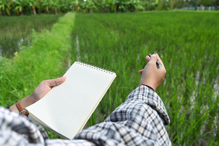 Cropped shot of farmer standing in rice field, recording data about crop growth and conditions.