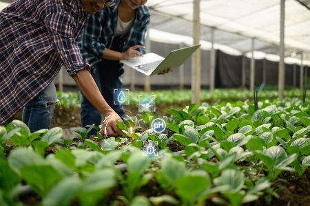 Two farmers examining young plants in a greenhouse while using laptop and smart farming technology.の写真素材