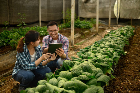 Two farmers review information on digital tablet among rows of lettuce in a greenhouse.の写真素材