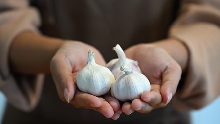 Woman holding three whole garlic bulbs, symbolizing freshness, nutrition, and farm to table lifestyle.の写真素材