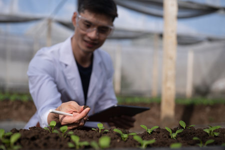 A scientist in a greenhouse examining soil near young seedlings, showing research, analysis, and modern agriculture practices.の写真素材