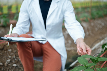Closeup Researchers man holding paper chart checking the progress and growth of plants..
