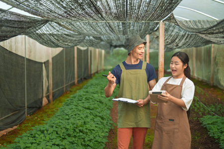 A senior farmer teaching a young grower to calculate crop income inside a greenhouse.