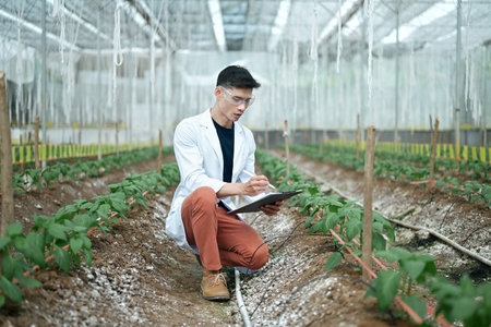 Researchers man holding paper chart checking the progress and growth of plants..