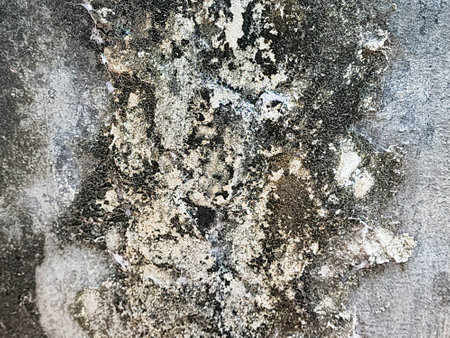 Grunge cement wall texture. Abstract background and texture for design.の写真素材