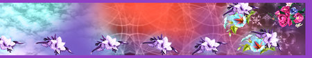 digital textile saree design anf colourfull background with flowersの写真素材