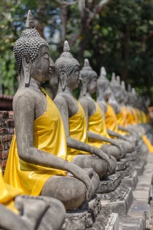 row of statue of Buddha with yellow robeの写真素材