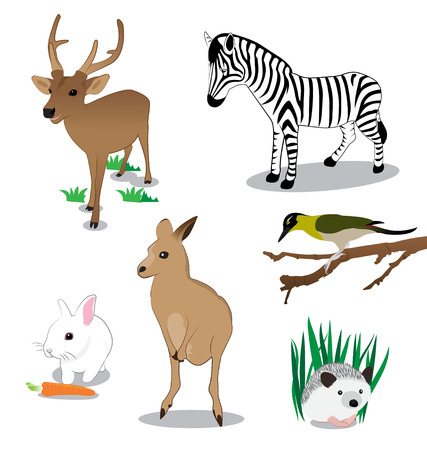 Wildlife cartoon set on white のイラスト素材