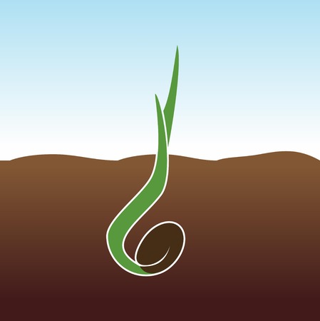 Growing Plant. Sprout grows.のイラスト素材