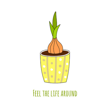 Bulbous houseplant in a hand-drawn style. Vector illustration.のイラスト素材