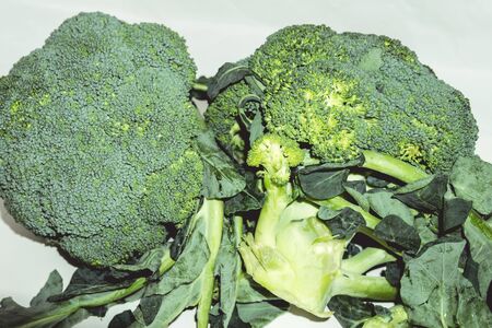 A close up of a piece of broccoli. High quality photoの写真素材
