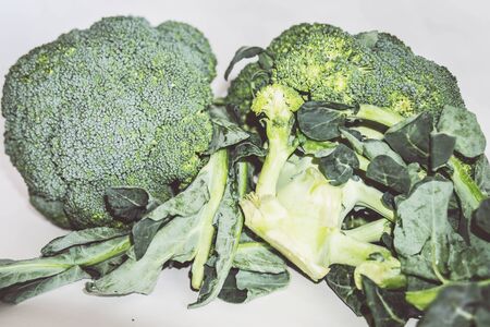 A piece of broccoli. High quality photoの写真素材