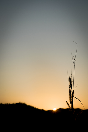 Evening view at Mae Hong Sonの写真素材