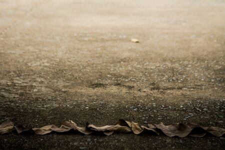Dry leaves on cement floor.の写真素材