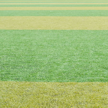 green artificial grass の写真素材