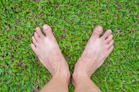 bare feet on green grassの写真素材