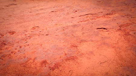 Image of Red Soil Texture
