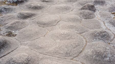 Gray limestone path with moss in nature as background textureの写真素材