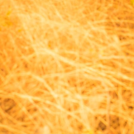 Gold Backgroundの写真素材