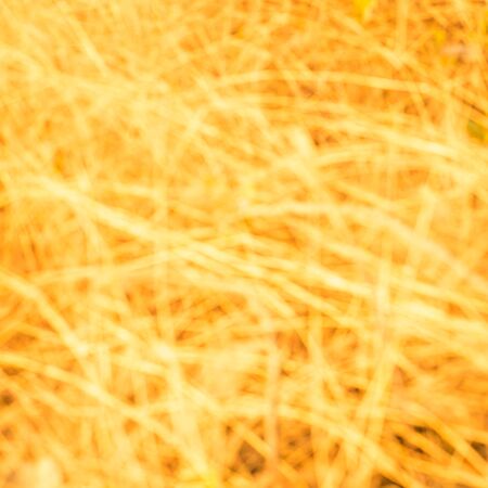 Gold Backgroundの写真素材