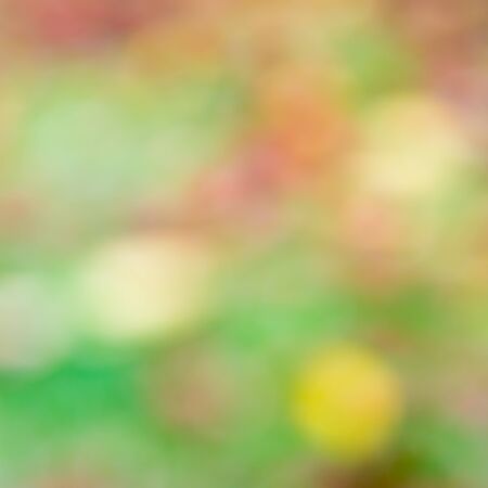 photo blurred garden background with sun light and bokehの写真素材