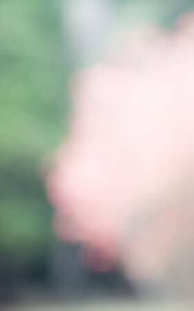 photo blurred garden background with sun light and bokehの写真素材