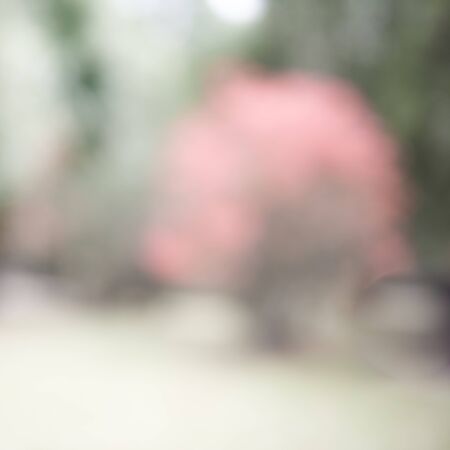 photo blurred garden background with sun light and bokehの写真素材