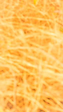 Gold Backgroundの写真素材