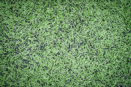 Soccer Field Line detail for Backgrounds or Textureの写真素材