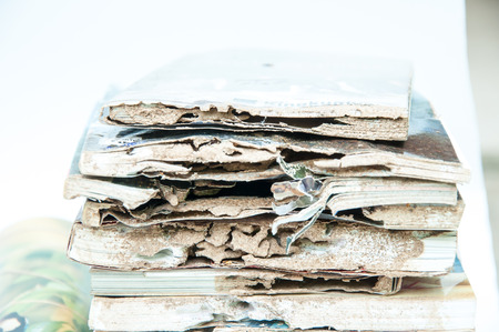 Close up damaged paper eaten by termiteの写真素材