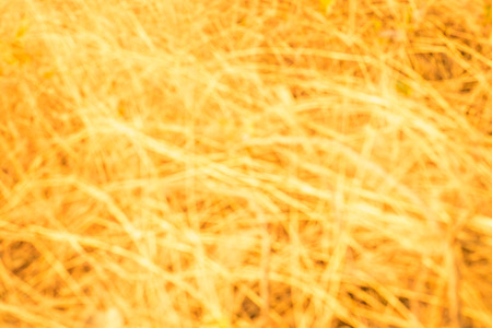 Gold Backgroundの写真素材