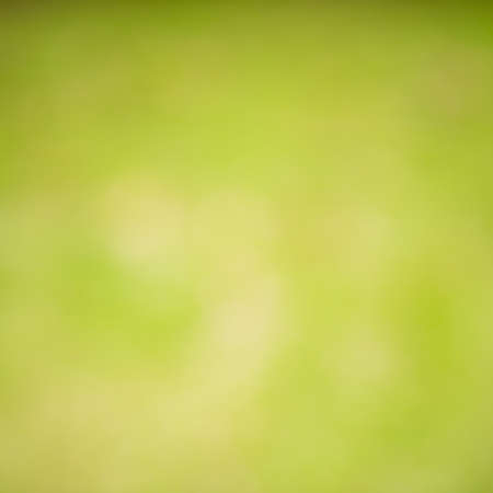 photo blurred garden background with sun light and bokehの写真素材