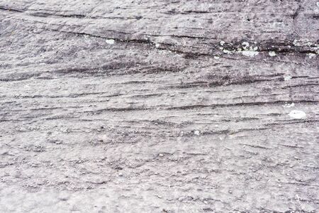 Gray limestone path with moss in nature as background textureの写真素材