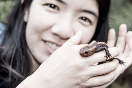 female veterinary holding salamander in handの写真素材