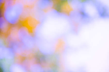 Colorful blur garden background
