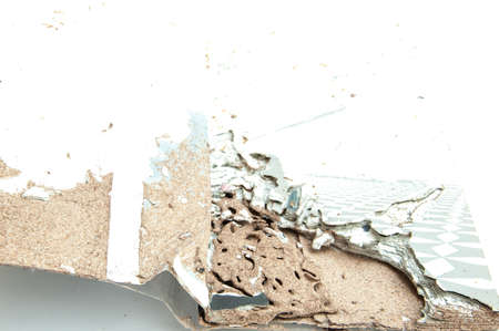 Close up damaged paper eaten by termiteの写真素材