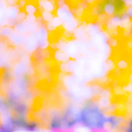 Colorful blur garden backgroundの写真素材