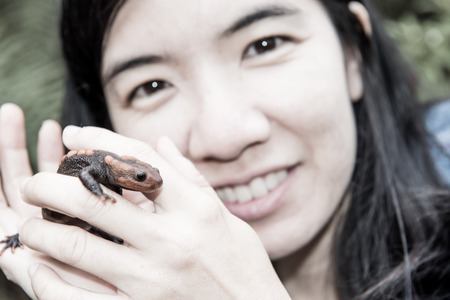 female veterinary holding salamander in handの写真素材