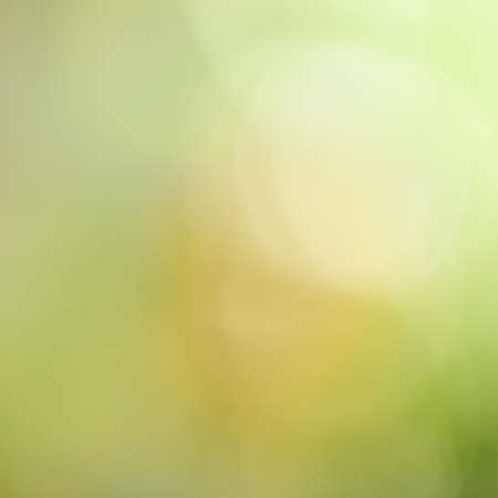 colourful blurred, garden backgroundsの写真素材