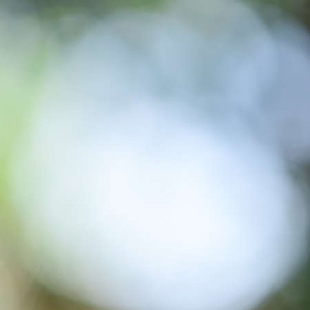 colourful blurred, garden backgroundsの写真素材