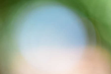 natural green backgroundの写真素材