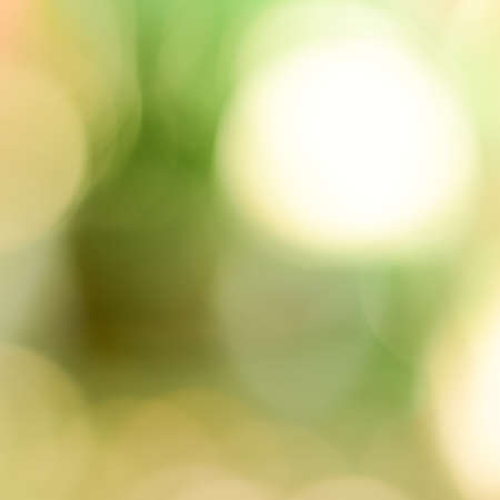 colourful blurred, garden backgroundsの写真素材