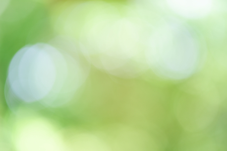 natural green backgroundの写真素材