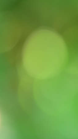 natural green backgroundの写真素材