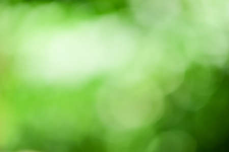 natural green backgroundの写真素材